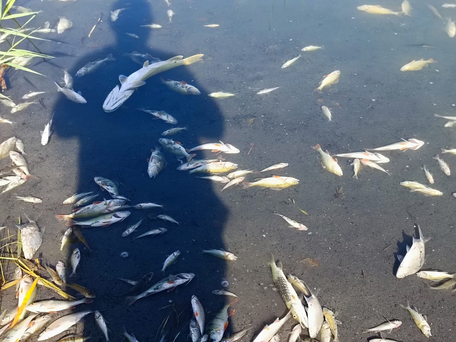 Sauerstoffmangel 2023